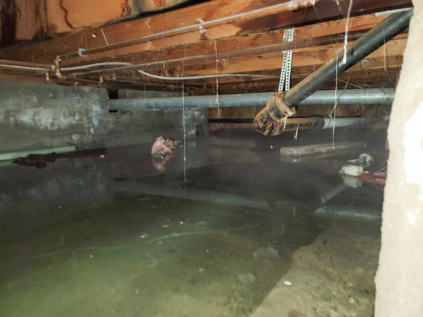 Water damage restoration experts in GA