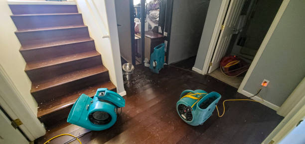 Best Water damage restoration company  in Douglasville, GA