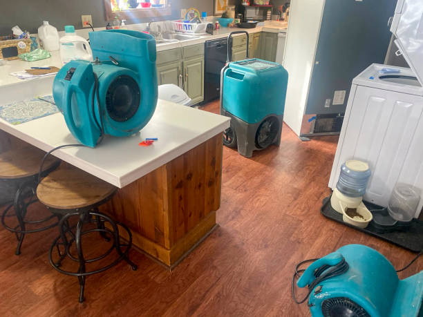 Best 24-hour water damage restoration  in Douglasville, GA