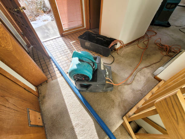 Best Flooded house restoration  in Douglasville, GA