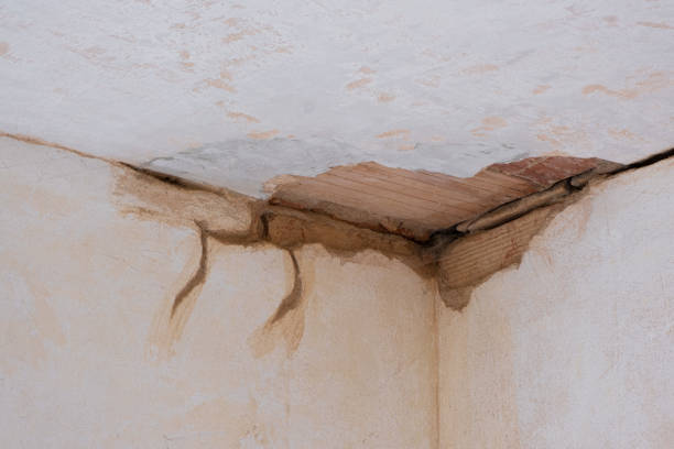 Best Commercial water damage restoration  in Douglasville, GA