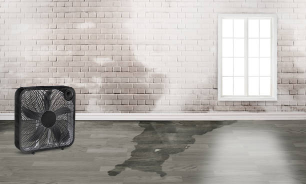  Douglasville, GA Water damage restoration Pros