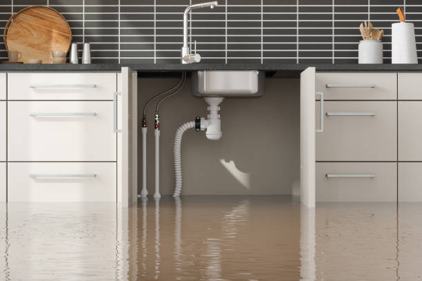 Best Water damage restoration near me  in Douglasville, GA